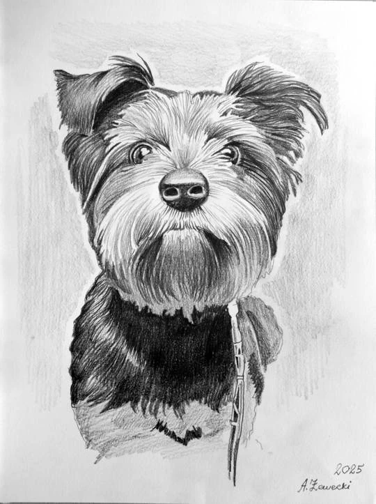 portret psa o��wkiem 1